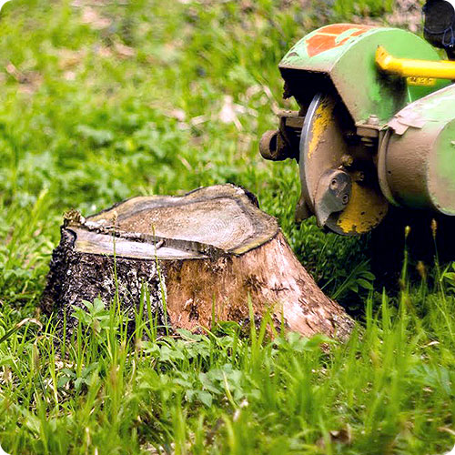Аксессуары для благоустройства захоронений | Выкорчевывание пней